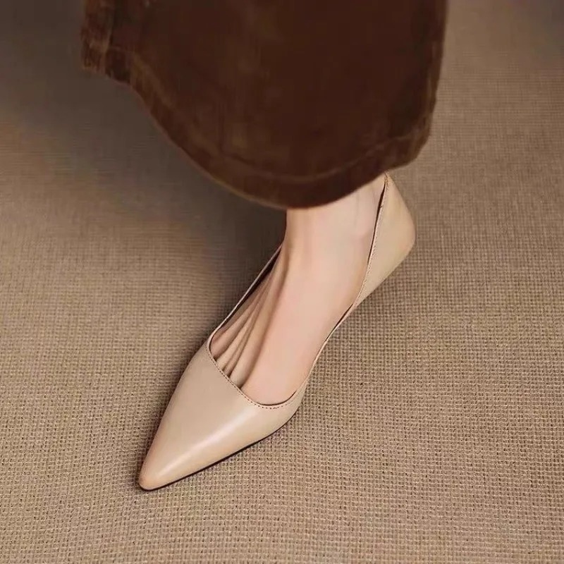 Dames puntschoen stiletto hakk - Women Shoes Heels recensie en prijs